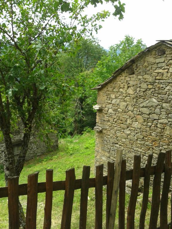 Affittacamere La casa nel bosco-senza auto Ponte della Venturina Camera foto