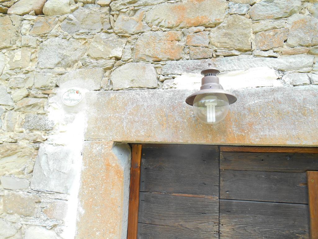 Affittacamere La casa nel bosco-senza auto Ponte della Venturina Camera foto