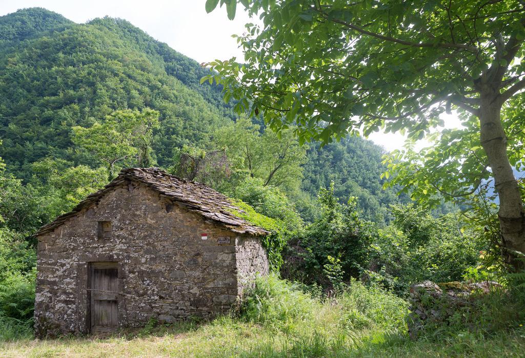 Affittacamere La casa nel bosco-senza auto Ponte della Venturina Esterno foto